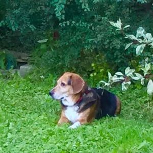 Meet your Posher, April